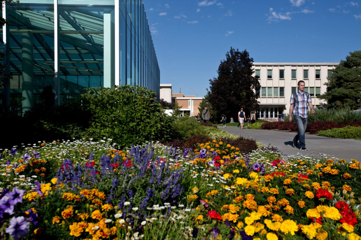 Students return to BYU for fall semester News, Sports, Jobs Daily